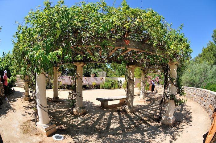 Appartamento Les Oliviers Balaruc-les-Bains Esterno foto