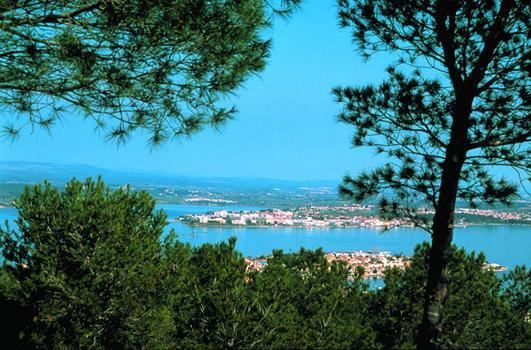 Appartamento Les Oliviers Balaruc-les-Bains Esterno foto